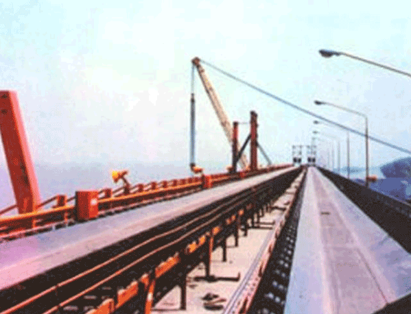 TD75型皮帶麻豆网页在线免费观看機